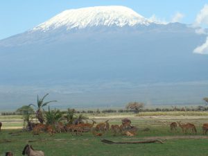 Parks and Beaches-Amboseli National Park