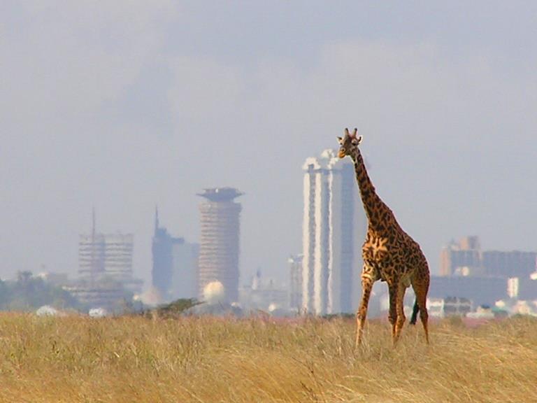 Parks and Beaches-Nairobi National Park