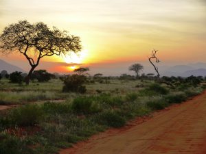 Parks and Beaches-Tsavo East National Park